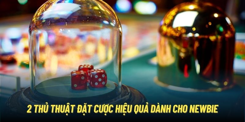 2 thủ thuật đặt cược hiệu quả dành cho newbie