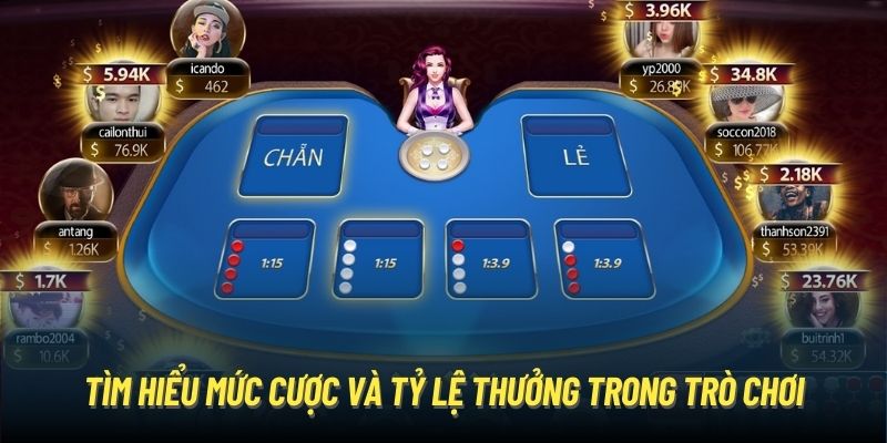 Tìm hiểu mức cược và tỷ lệ thưởng trong trò chơi