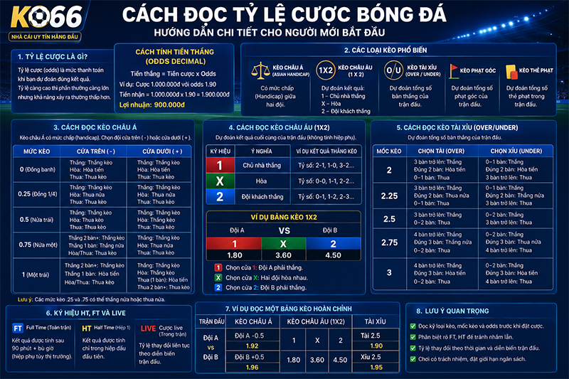 Cách đọc tỷ lệ cược bóng đá
