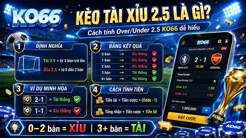 Kèo Tài Xỉu 2.5 Là Gì